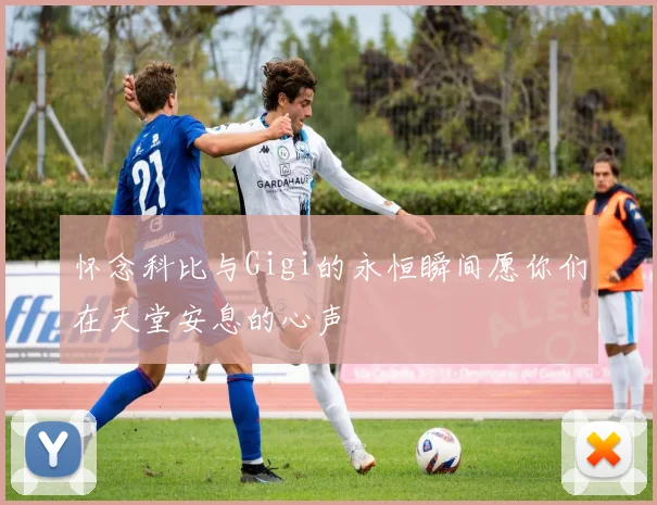 怀念科比与Gigi的永恒瞬间愿你们在天堂安息的心声