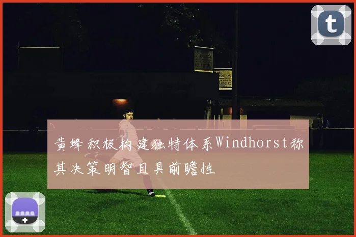 黄蜂积极构建独特体系Windhorst称其决策明智且具前瞻性